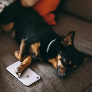 Image with title, description & Vimeo video